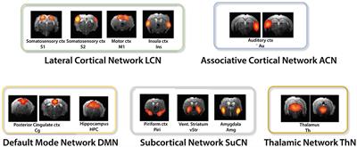 Resting State fMRI in Mice Reveals Anesthesia Specific Signatures of Brain Functional Networks and Their Interactions